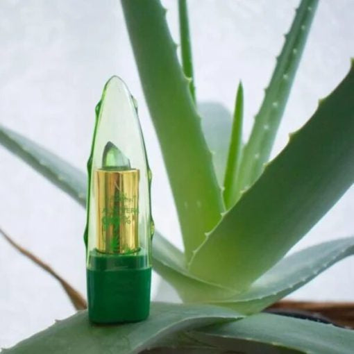 Aloe Vera Gel Jelly Lipstick