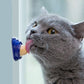 New flavors Russian style cat candy licking and licking Salmon Tuna