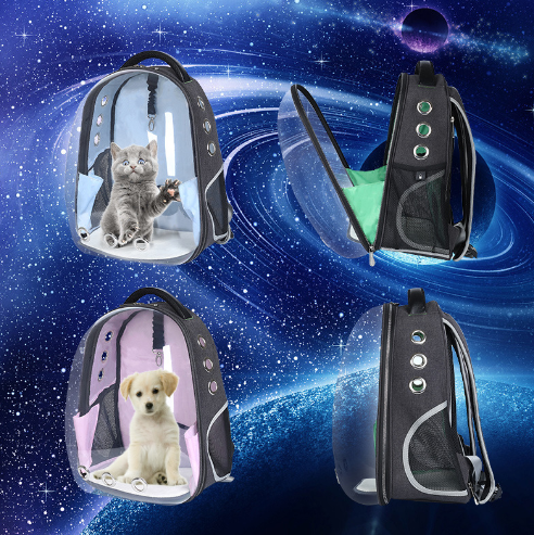 Cat Transparent Outing Portable Space Backpack