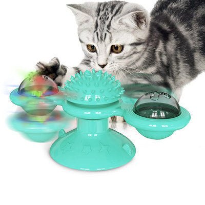 New funny swing car cat toys