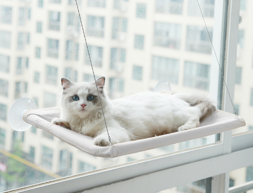 Hot style pet litter sucker cat hammock hanging