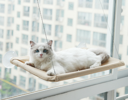 Hot style pet litter sucker cat hammock hanging