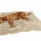 Double-layer autumn and winter pet blanket I warm and comfortable
