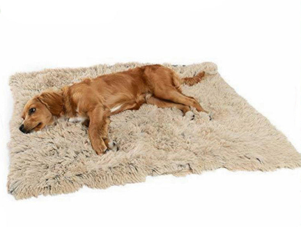 Double-layer autumn and winter pet blanket I warm and comfortable