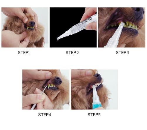 New pet dogs and cats tartar and calculus cleaning pens