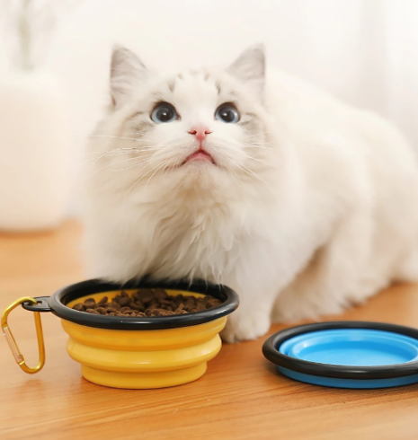 Silicone Large Foldable Pet Bowl