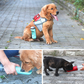 Dog accompanying Portable Pet outing  water bottles