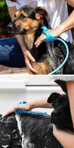 Pet bathing brush cat and dog supplies silicone massage shower