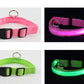 Dog charging LED luminous collar