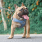 Pet dog reflective anti-breakaway vest type dog leash