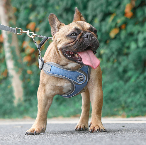 Pet dog reflective anti-breakaway vest type dog leash