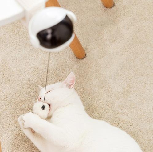 Electric pet cat automatic swinging lifting toy