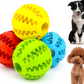 Explosion models pet cleaning tooth leaking ball dog toy