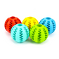 Explosion models pet cleaning tooth leaking ball dog toy