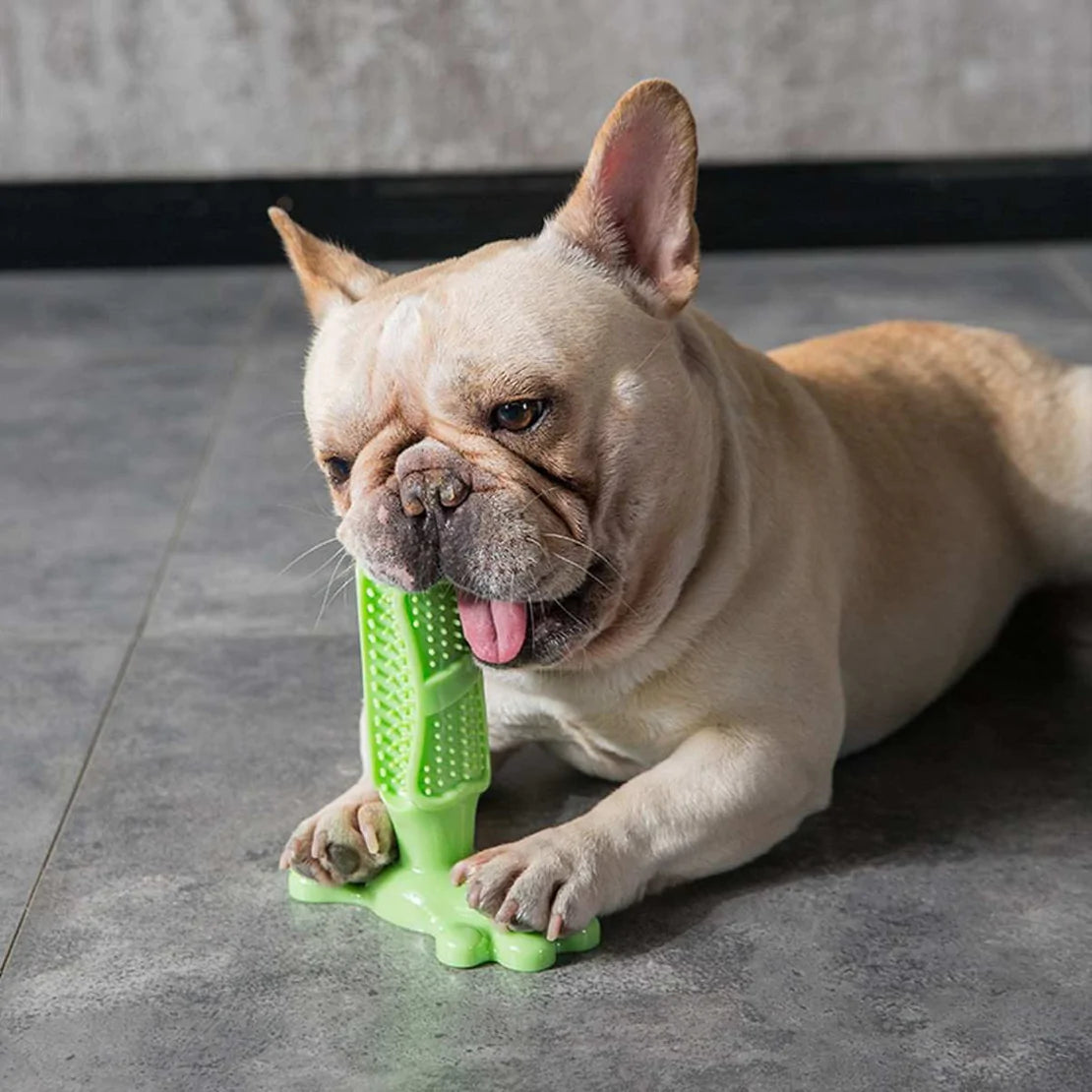 Dog toothbrush pet tooth cleaning toy