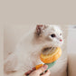 Pet Grooming Comb Removes Loose Underlayers and Tangled Hair Brush