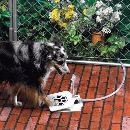 Pet garden foot trampoline automatic water feeder