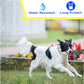 Natural Essential Oil Repellent Flea Ticks Lice Collar