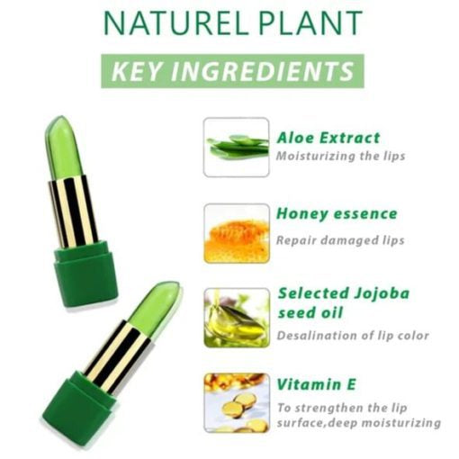 Aloe Vera Gel Jelly Lipstick