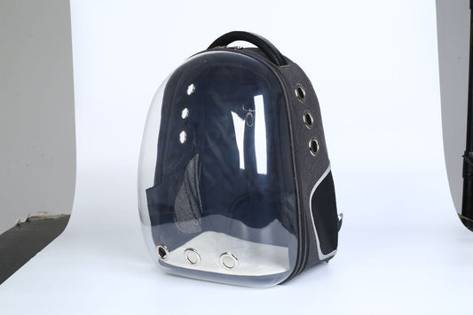 Cat Transparent Outing Portable Space Backpack