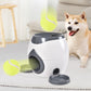 New Pets dogs accessories feeder I Tennis ball launcher machine games