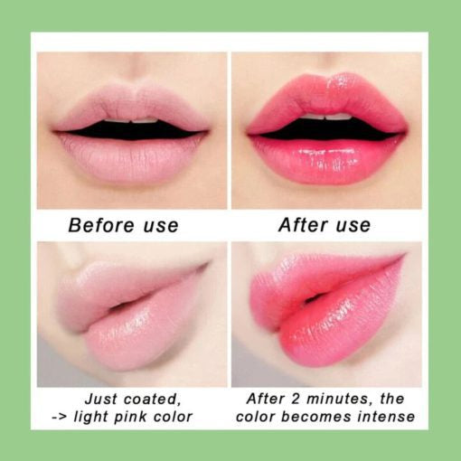 Aloe Vera Gel Jelly Lipstick