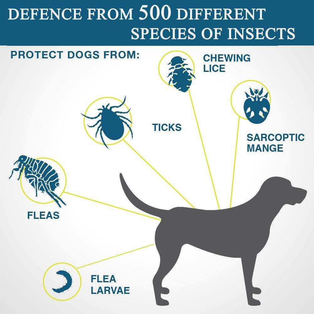 Natural Essential Oil Repellent Flea Ticks Lice Collar