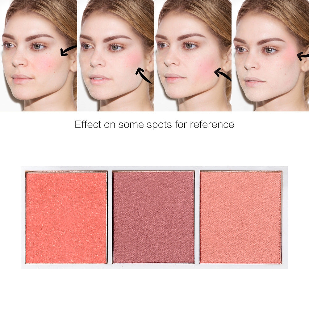 SACE LADY 4 Colors Professional Blush Palette