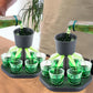 6 Shot Glass Dispenser and Holder