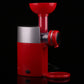 New Fruit Ice Cream Machine