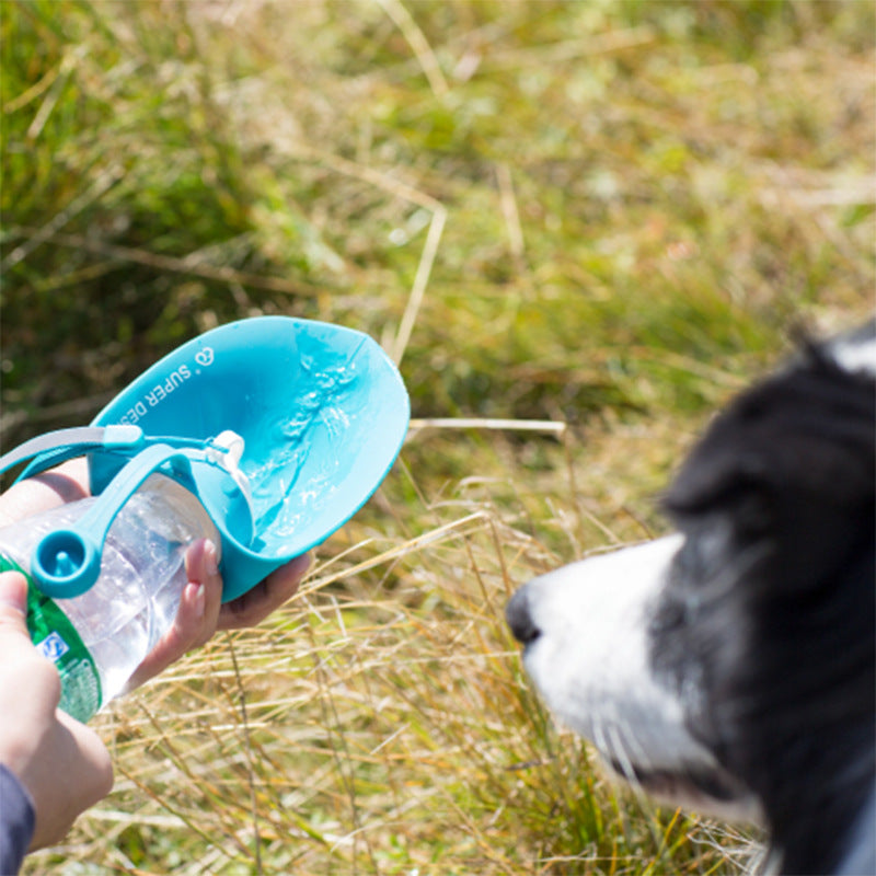 Pet dog accompanying cups outdoor feeding water drinker