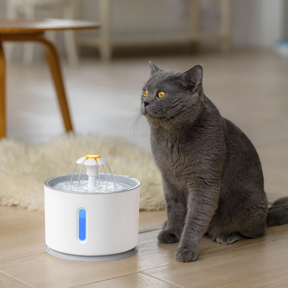 Pet Electric Fountain Active Carbon Filter Drinking Dispenser