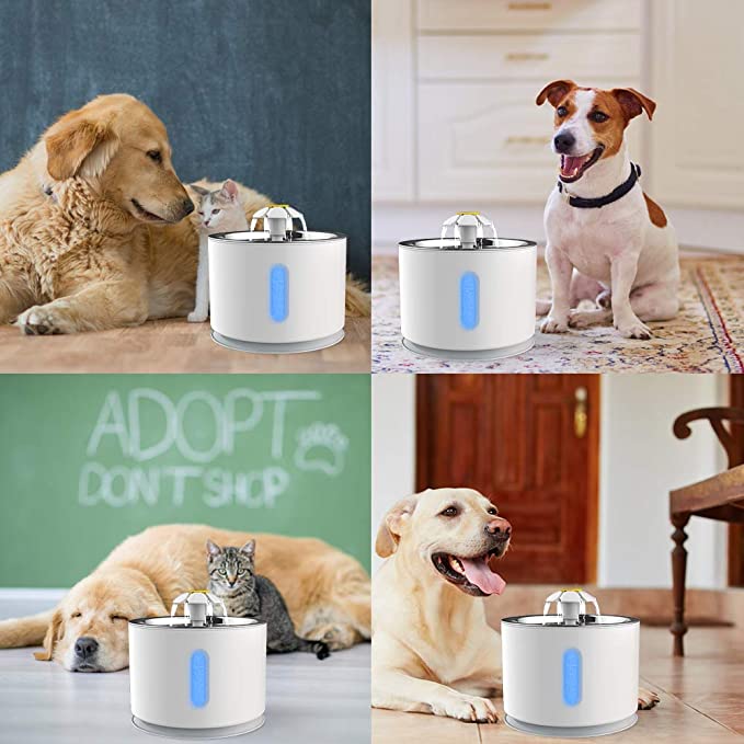 Pet Electric Fountain Active Carbon Filter Drinking Dispenser